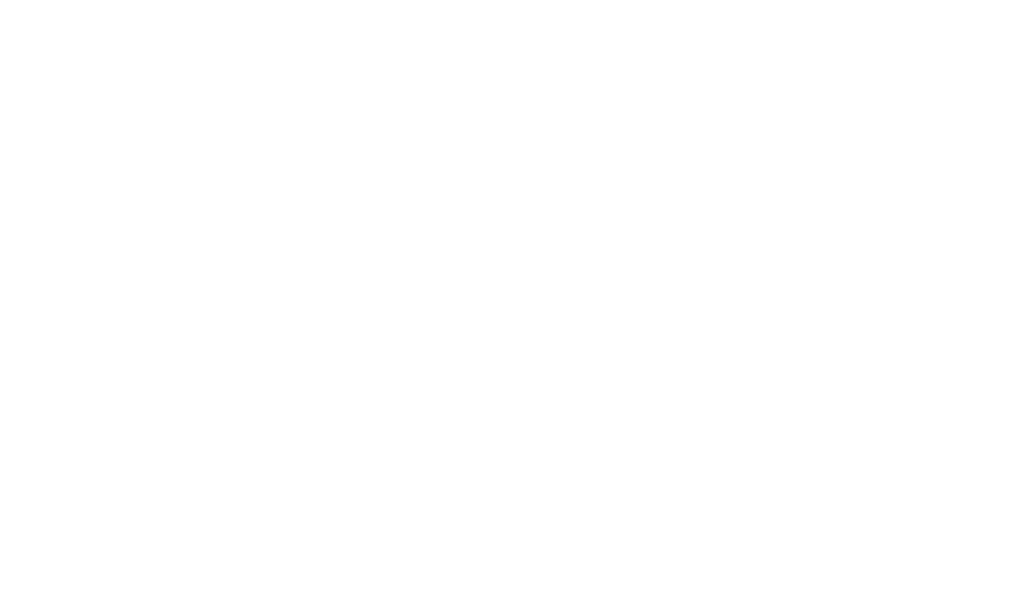 Team Daedalus